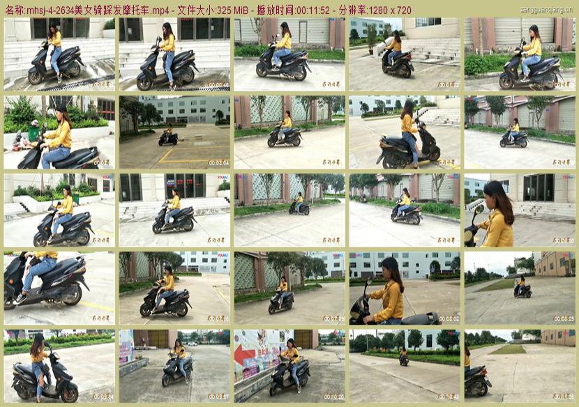 mhsj-4